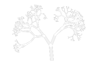 Arbre linéal
