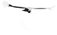 Valetti Florent logo